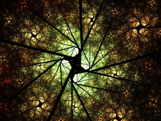 13267 (a): :1024x768